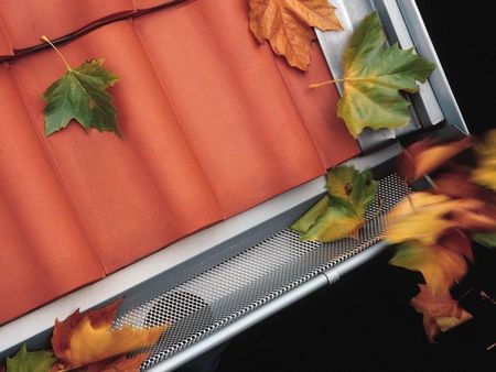 Perforowana siatka zabezpieczająca na liście Perforowana siatka zabezpieczająca na liście